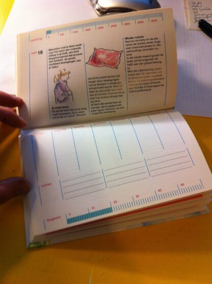 In Verwachting - Negen Maanden Dagboek - Afbeelding 5