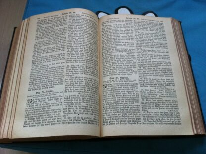 Die Bibel oder die ganze heilige Schrift [1920] - Afbeelding 7