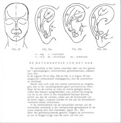 Vorm en Gestalte van de Mens - Afbeelding 2