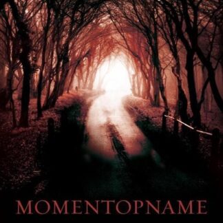 Momentopname - Harlan Coben