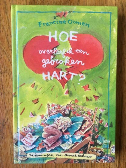 HOE Overleef Ik Mijn Ouders & Een gebroken hart - Afbeelding 3