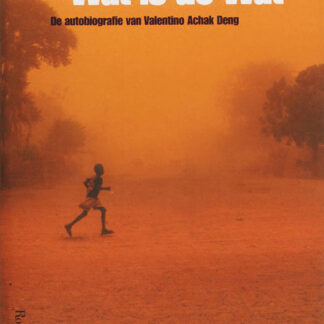 Wat is de wat - Dave Eggers