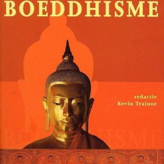Boeddhisme - Kevin Trainor 9789057645563