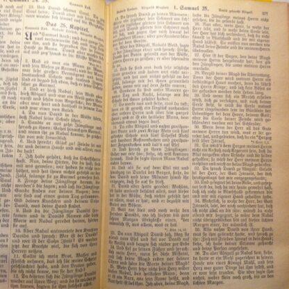 Die Bibel oder die ganze heilige Schrift [1920] - Afbeelding 8