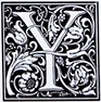 Y