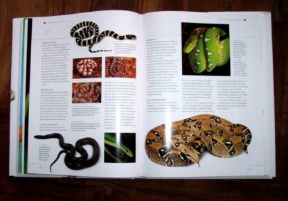 Handboek voor kleine dieren en hun verzorging - Afbeelding 3