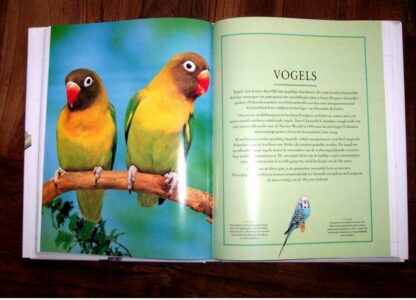 Handboek voor kleine dieren en hun verzorging - Afbeelding 2