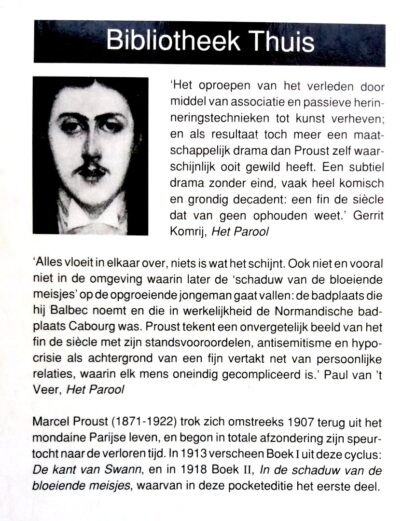 In de Schaduw van de Bloeiende Meisjes 1 - Marcel Proust